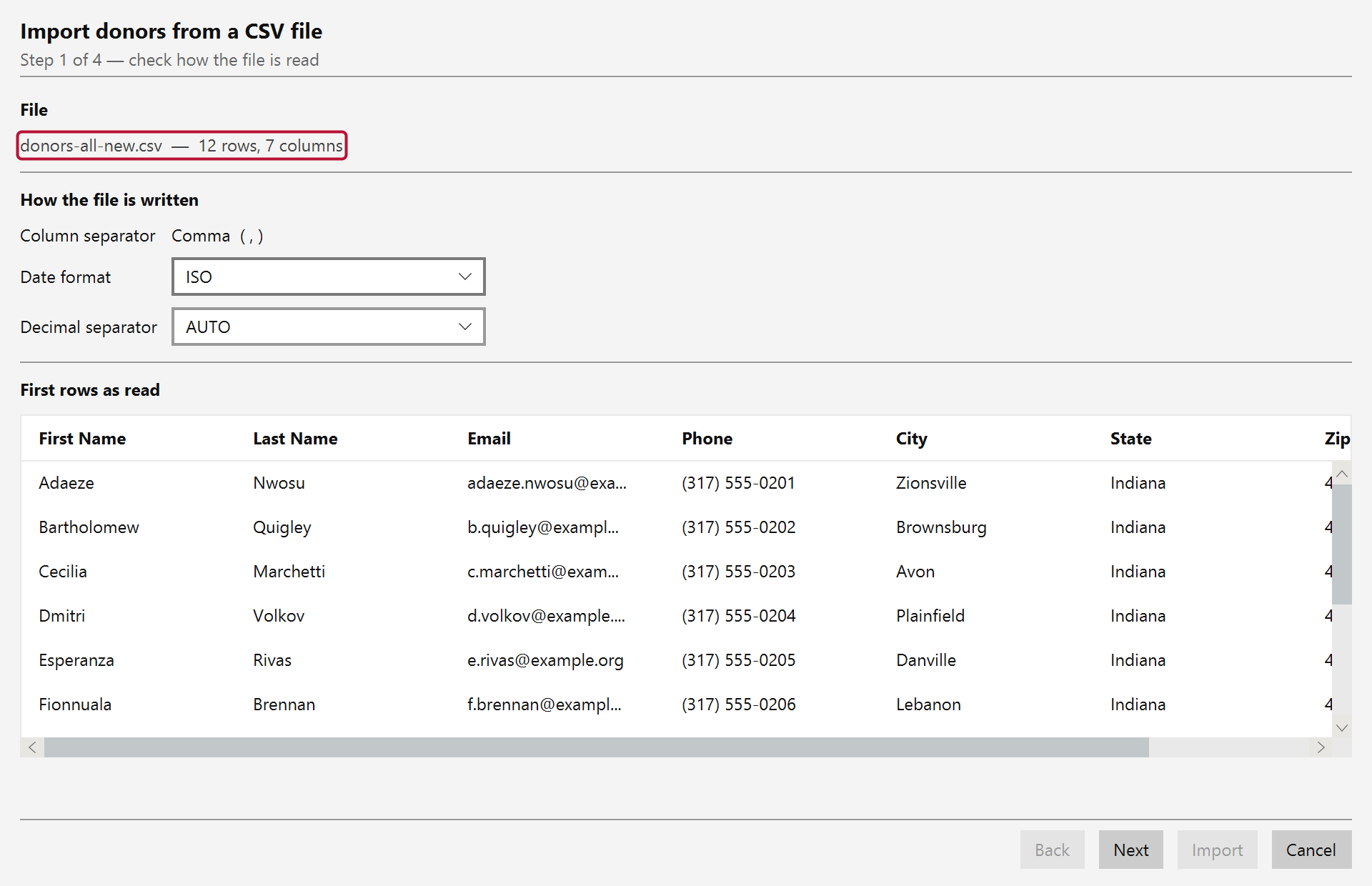 The wizard's first step, showing the file name, row and column counts, the detected column separator, and the first rows of the file as Mich read them