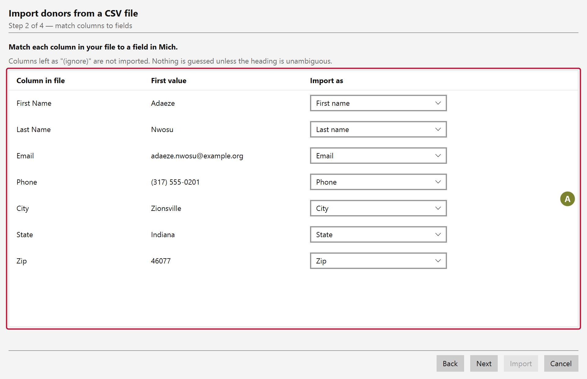 The column matching step, with each column in the file listed beside its first value and the Mich field it will be imported as