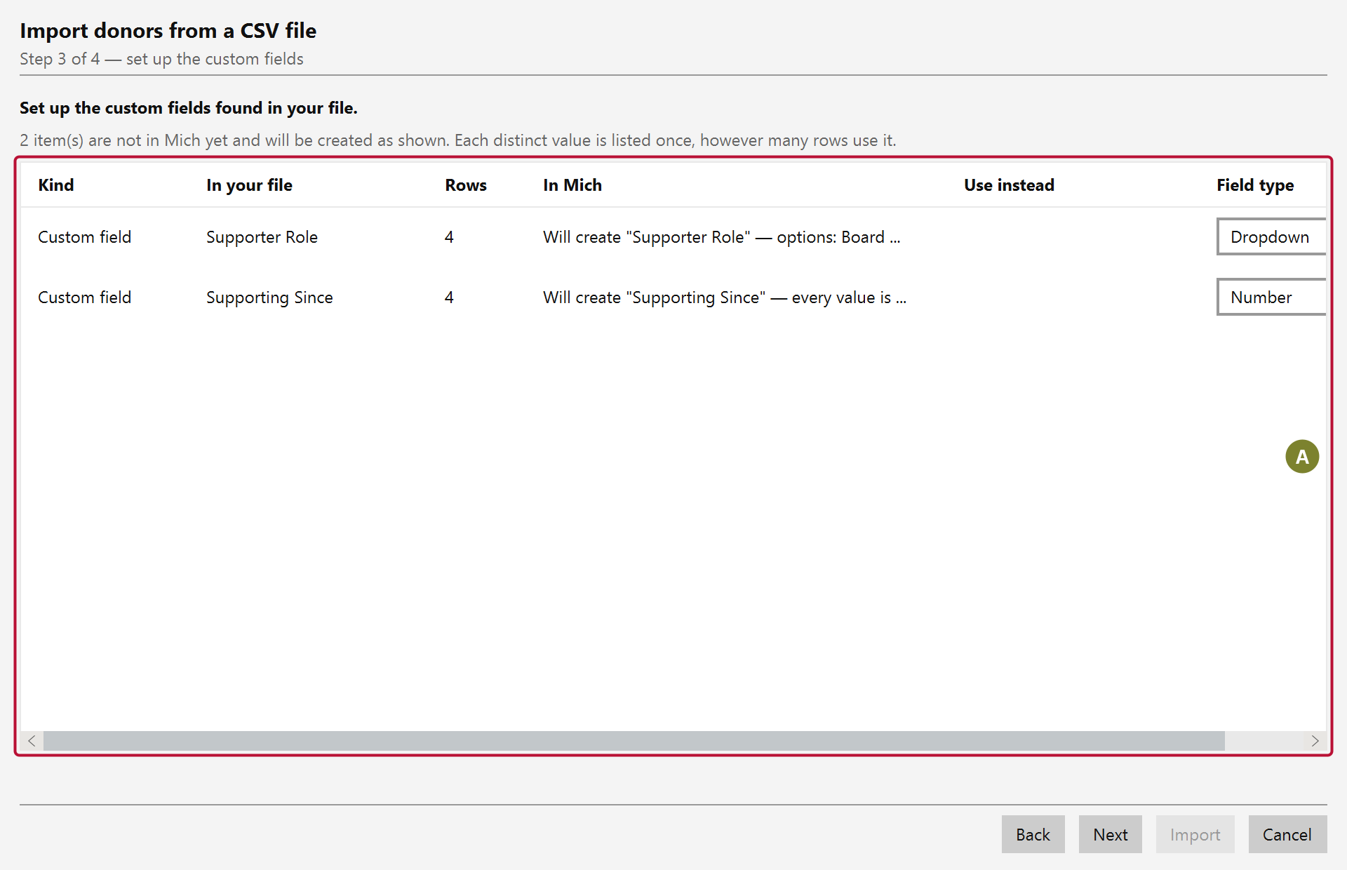 The custom field step, listing each mapped custom column with the field type Mich chose for it and the reason